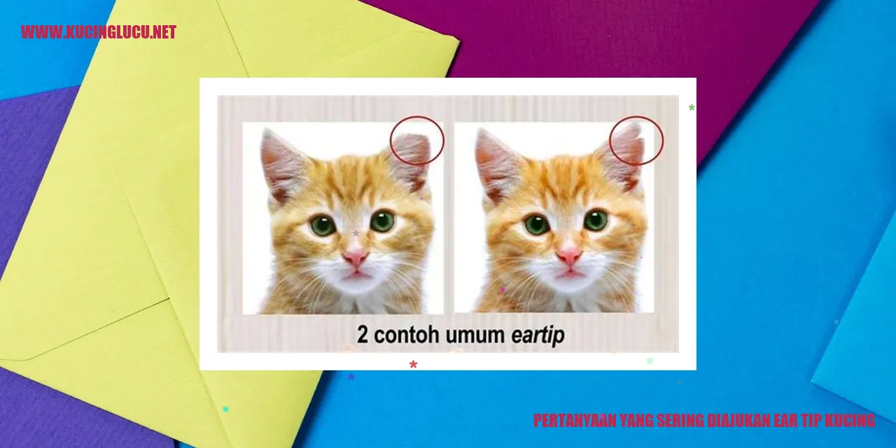Gambar Kucing dengan Telinga Dipotong