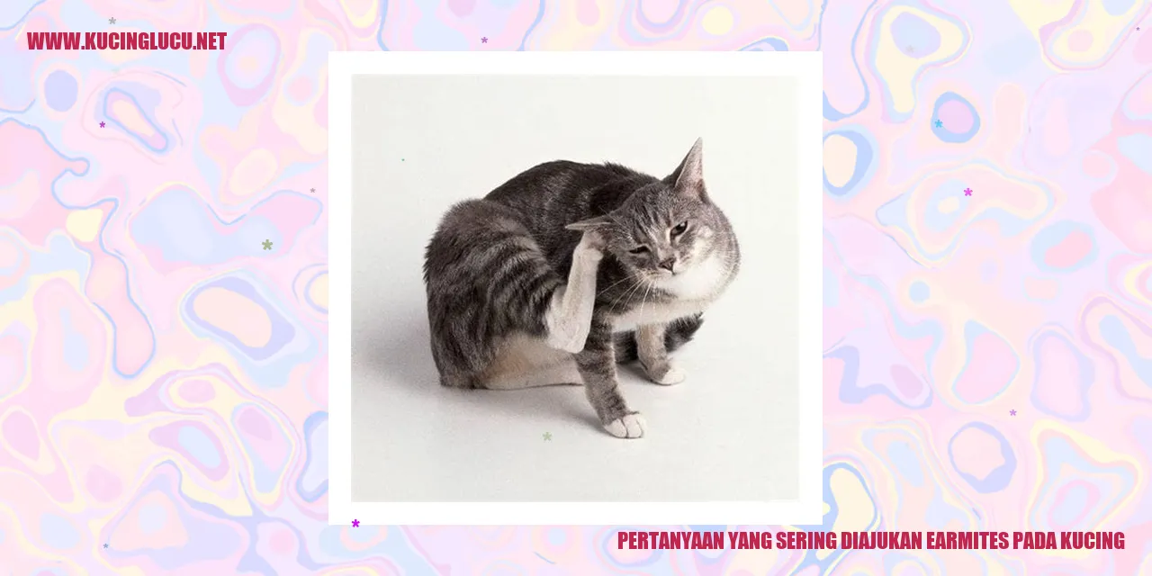 gambar kucing yang terinfeksi earmites