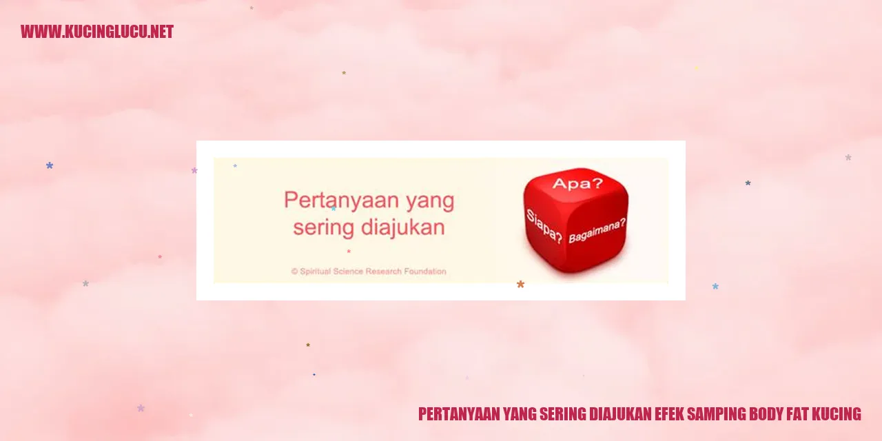 gambar kucing yang menggemaskan
