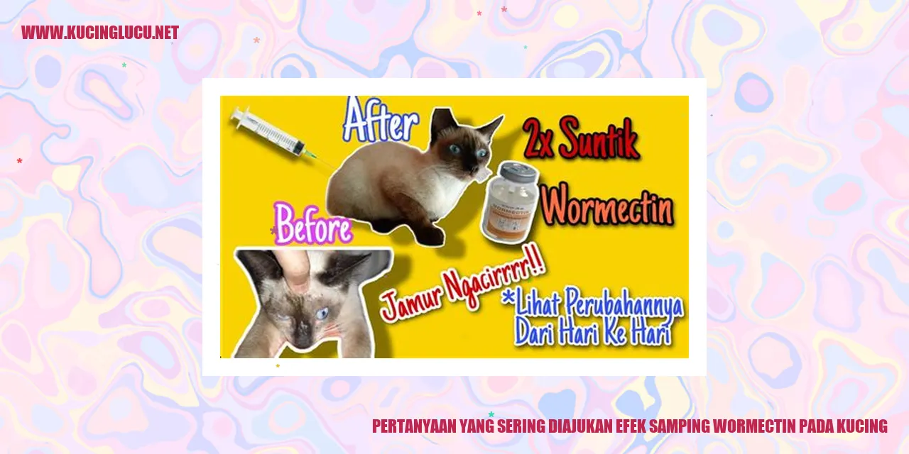 Gambar Kucing