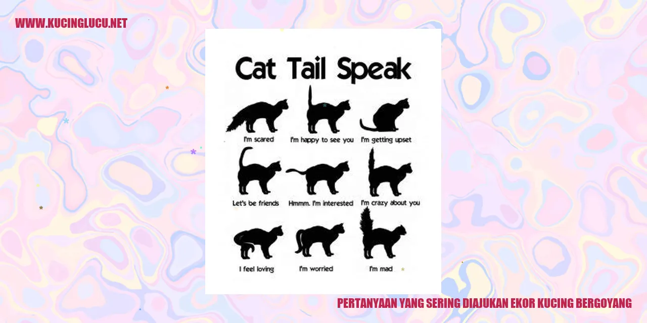 Gambar Kucing dengan Ekornya yang Bergoyang