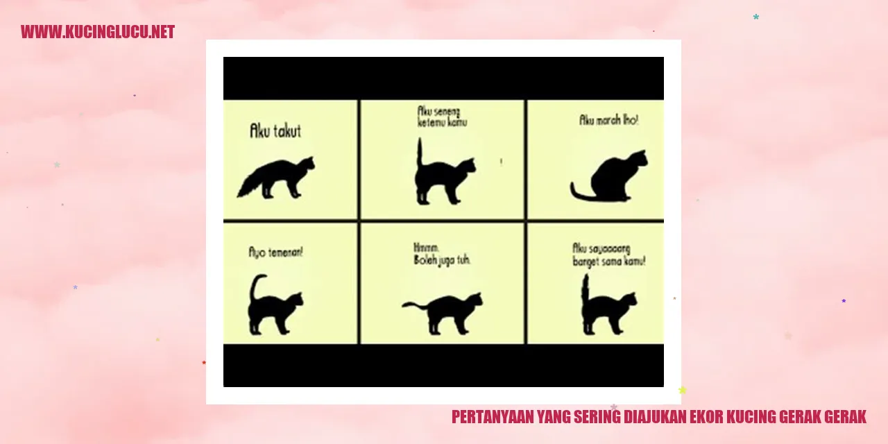 Ekor Kucing yang Gerak-Gerak