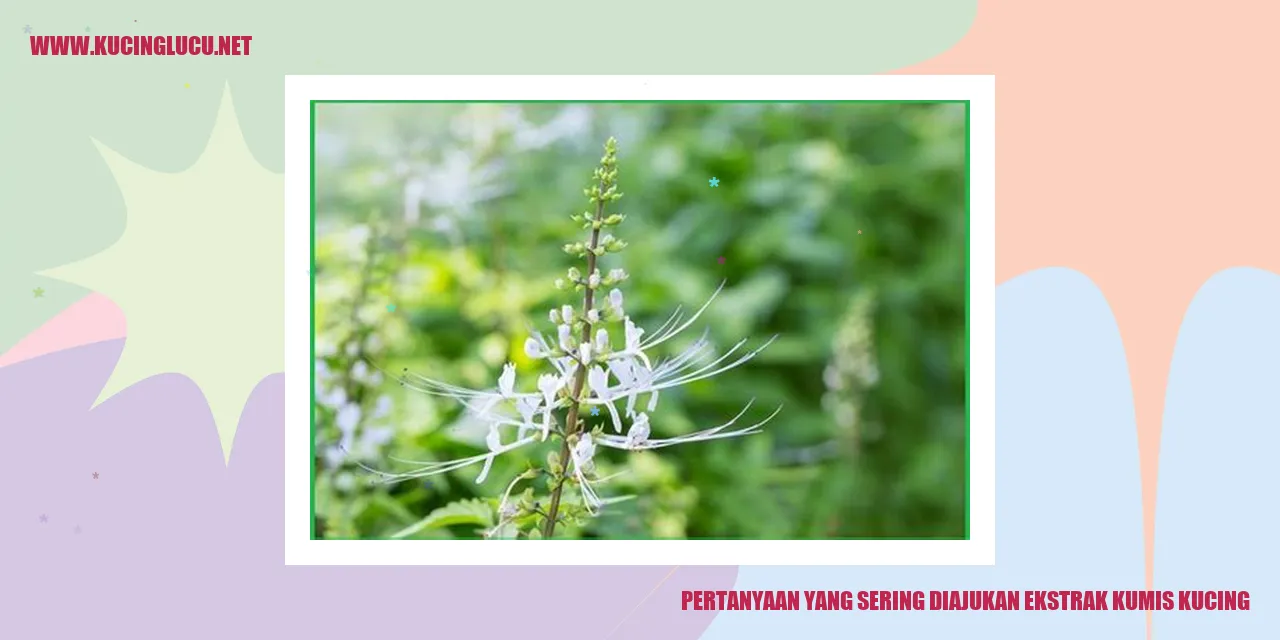 Pertanyaan yang Sering Diajukan ekstrak kumis kucing