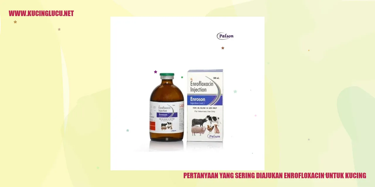 gambar kucing