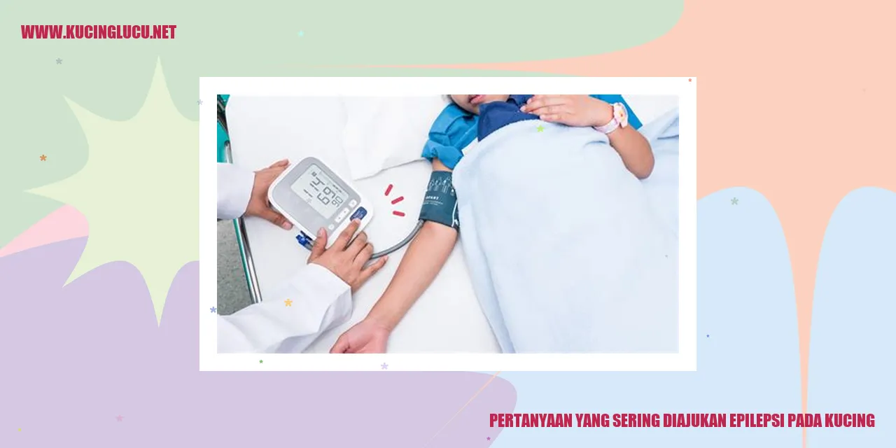 Kucing dengan serangan epilepsi