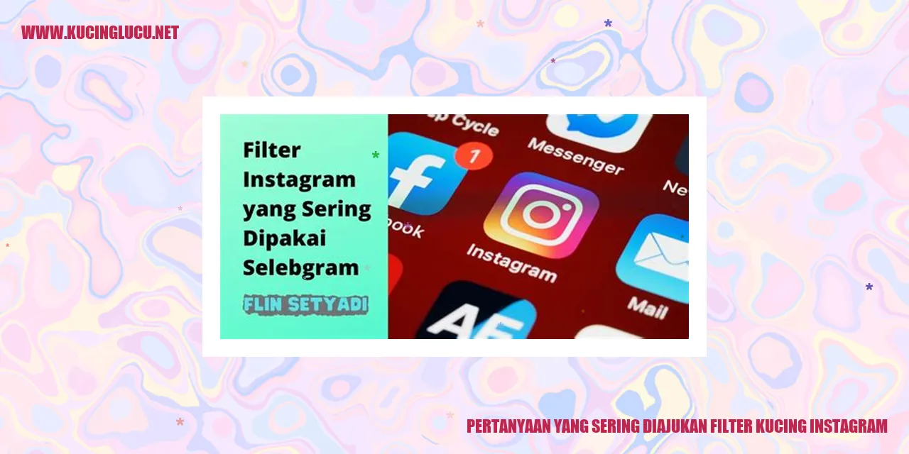 Filter Kucing di Instagram