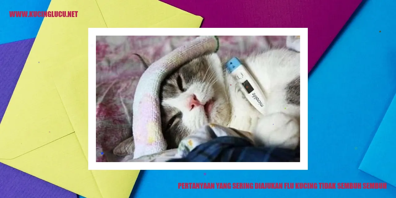 Pertanyaan yang Sering Diajukan flu kucing tidak sembuh sembuh