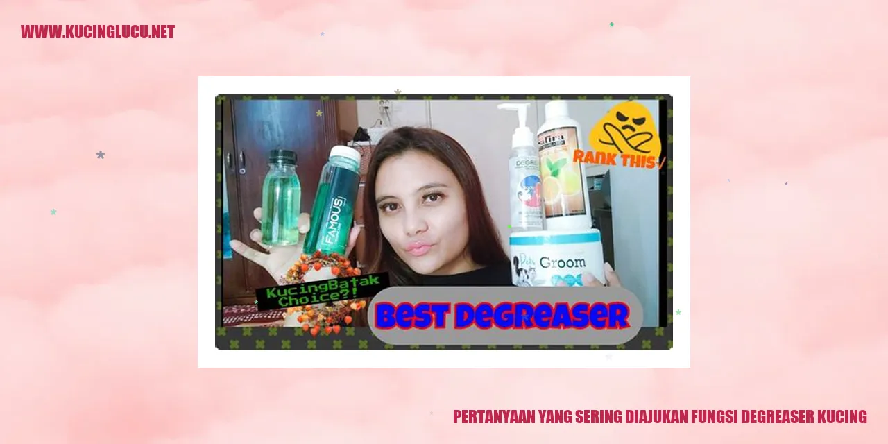 Degreaser Kucing