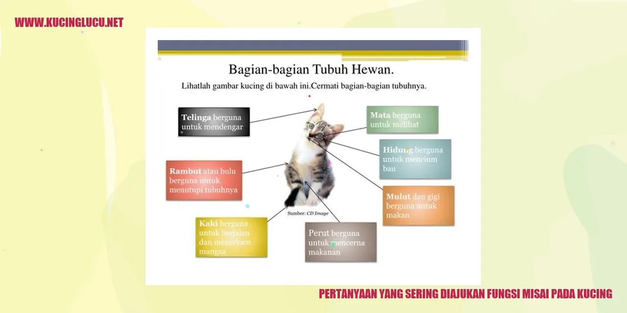Gambar Kucing dengan Misai