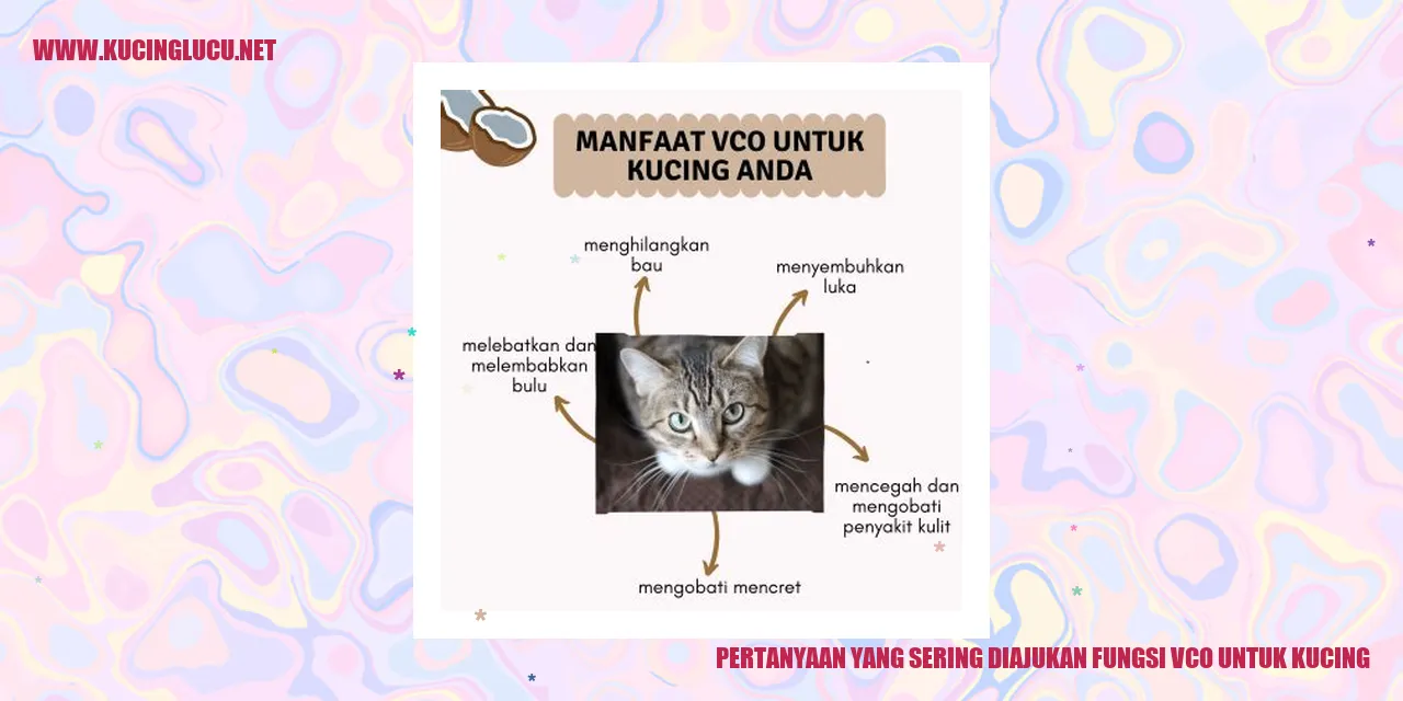 Pertanyaan yang Sering Diajukan fungsi vco untuk kucing