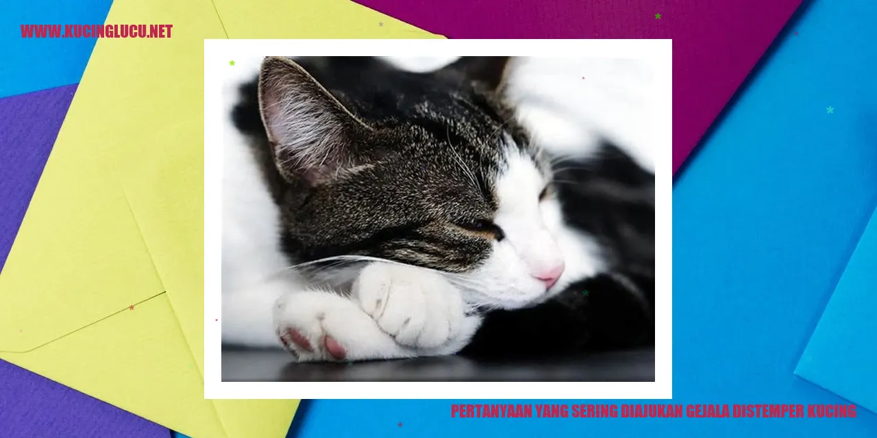 Ilustrasi kucing