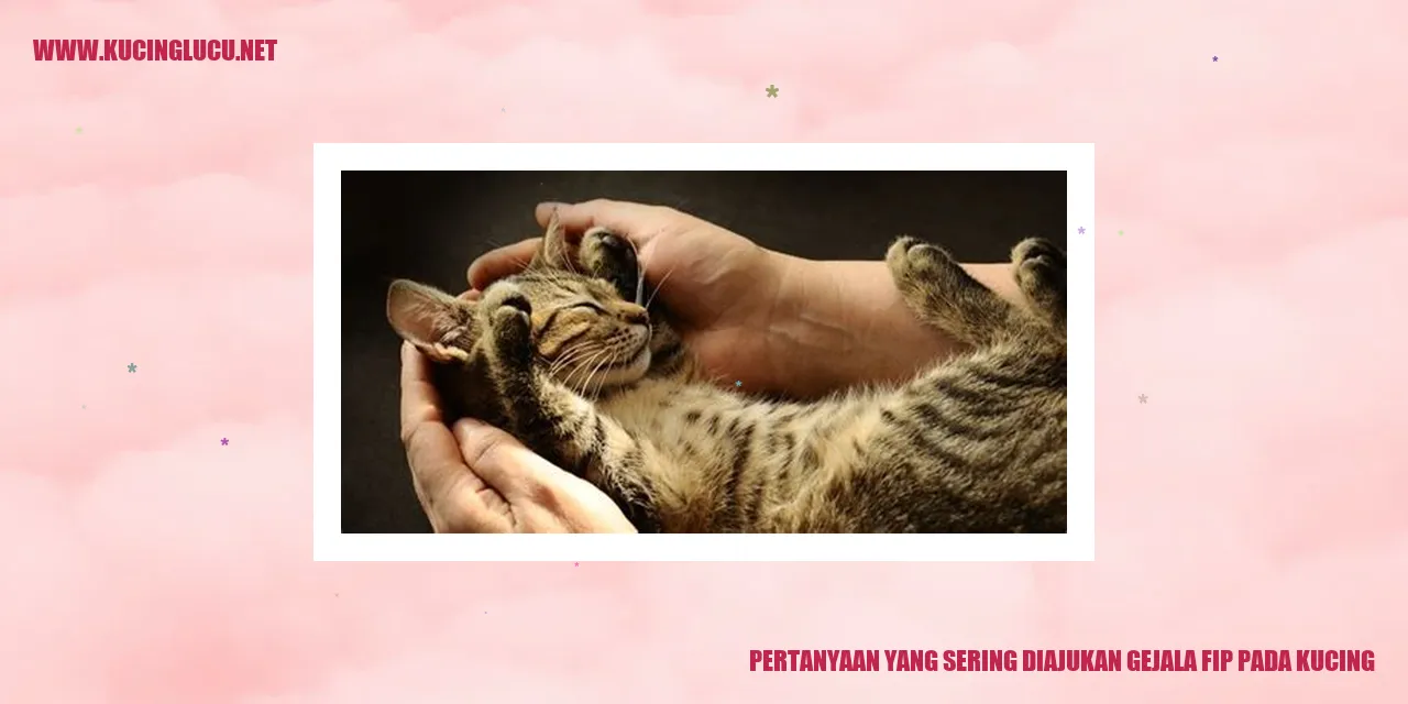 Pertanyaan yang Sering Diajukan gejala fip pada kucing