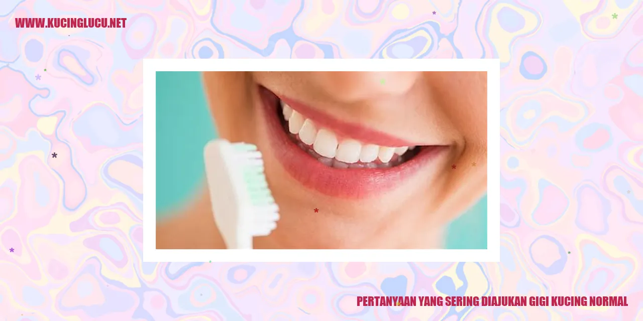 Pertanyaan yang Sering Diajukan tentang Gigi Kucing Normal