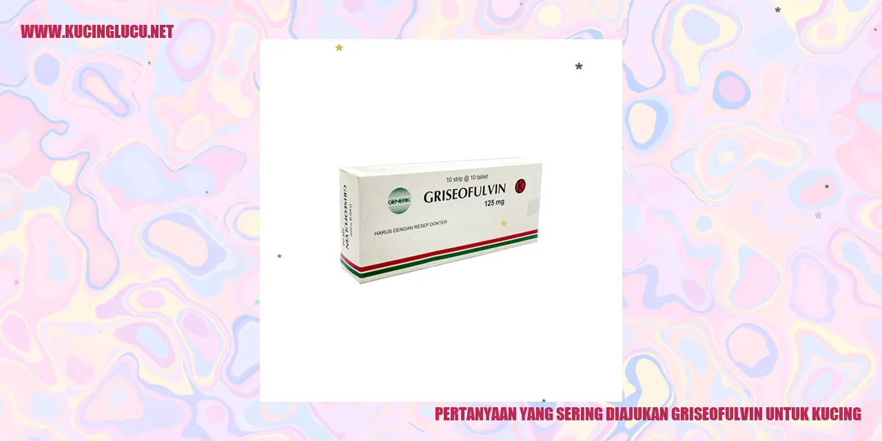 Gambar Kucing