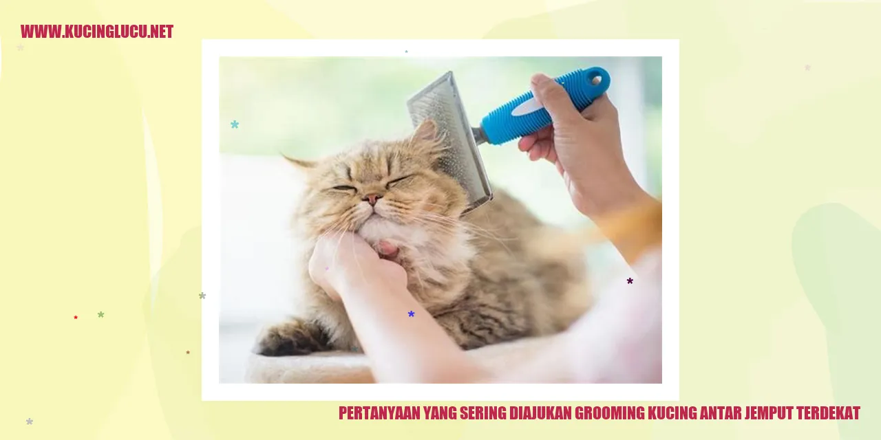 Pertanyaan yang Sering Diajukan grooming kucing antar jemput terdekat
