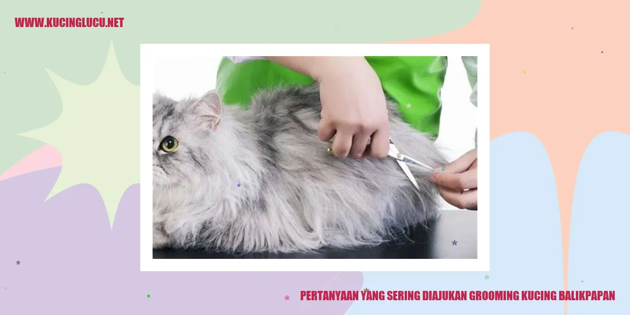 Pertanyaan yang Sering Diajukan grooming kucing balikpapan