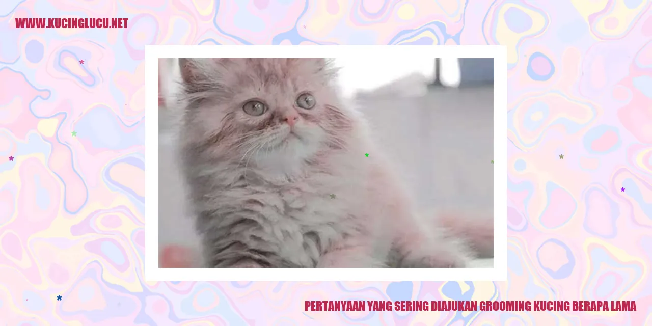 Pertanyaan yang Sering Diajukan: Grooming Kucing Berapa Lama