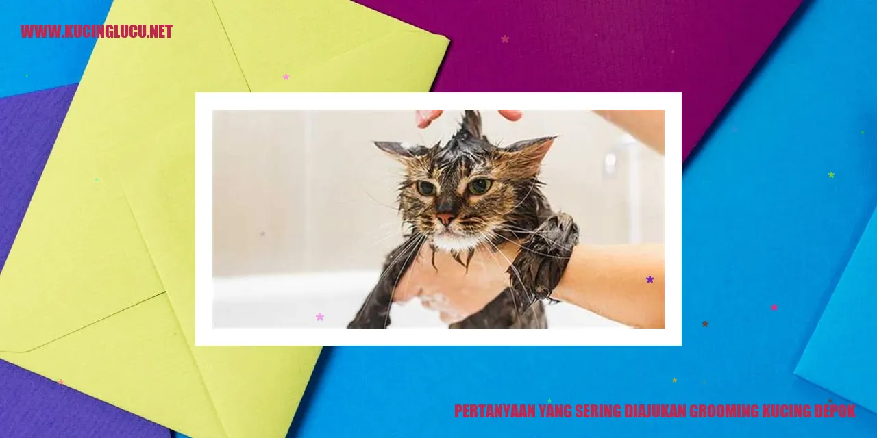 Grooming Kucing