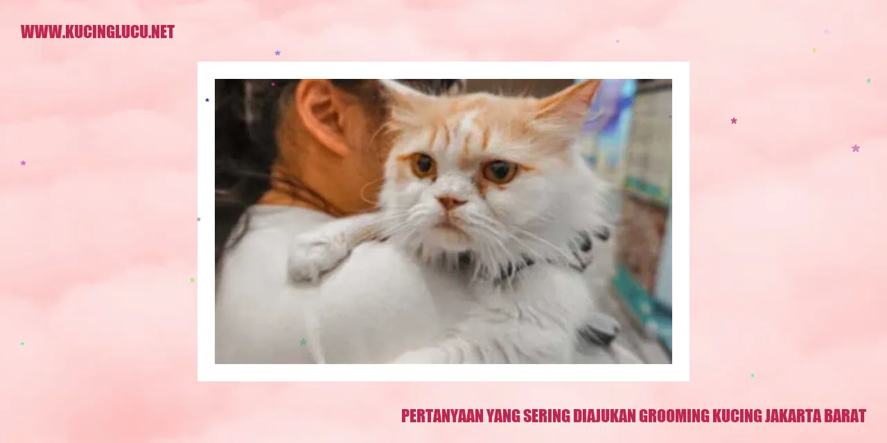 Pertanyaan yang Sering Diajukan grooming kucing jakarta barat