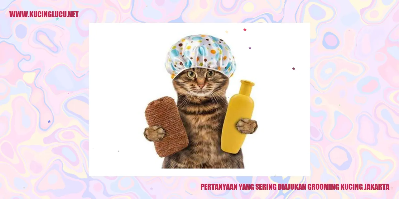 Grooming Kucing