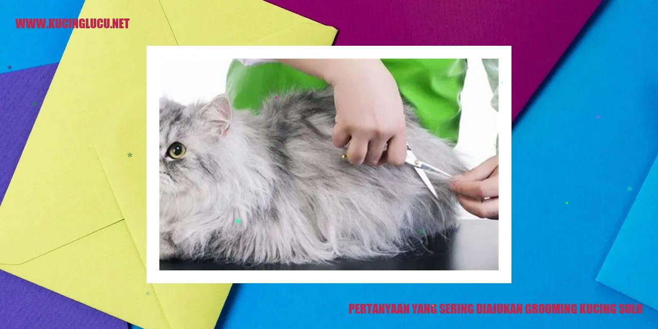 Grooming Kucing Solo