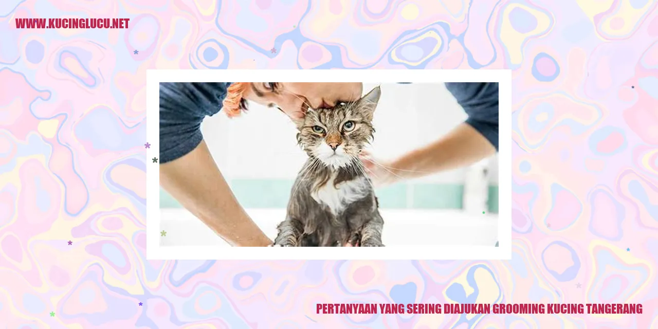 Ilustrasi Pertanyaan