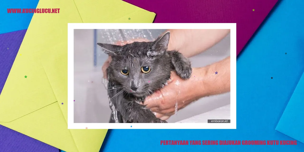 Perawatan Kutu pada Kucing