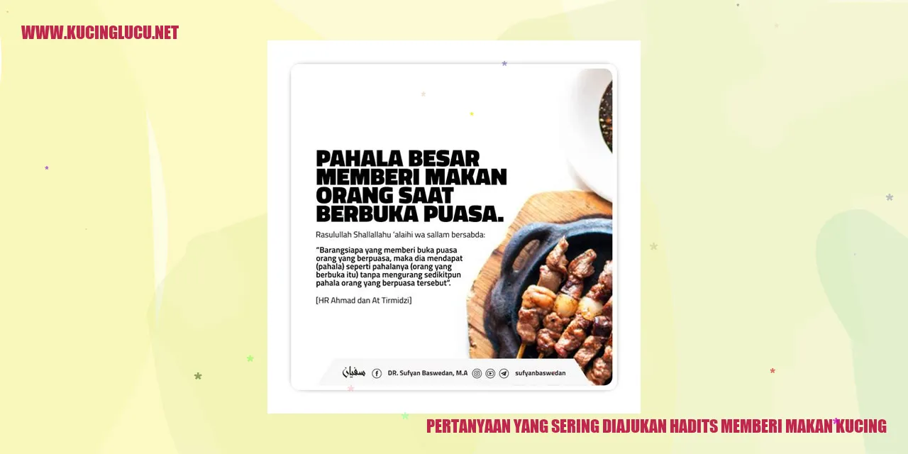 Gambar seekor kucing