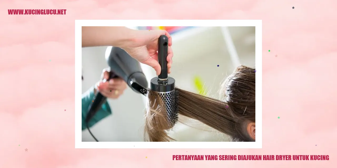 Gambar: Pertanyaan tentang penggunaan hair dryer untuk kucing