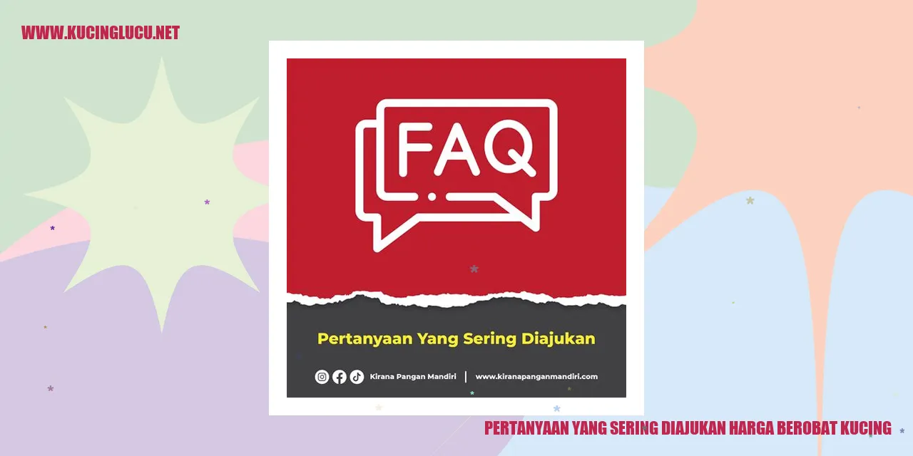 Pertanyaan yang Sering Ditanyakan mengenai Biaya Perawatan Kucing