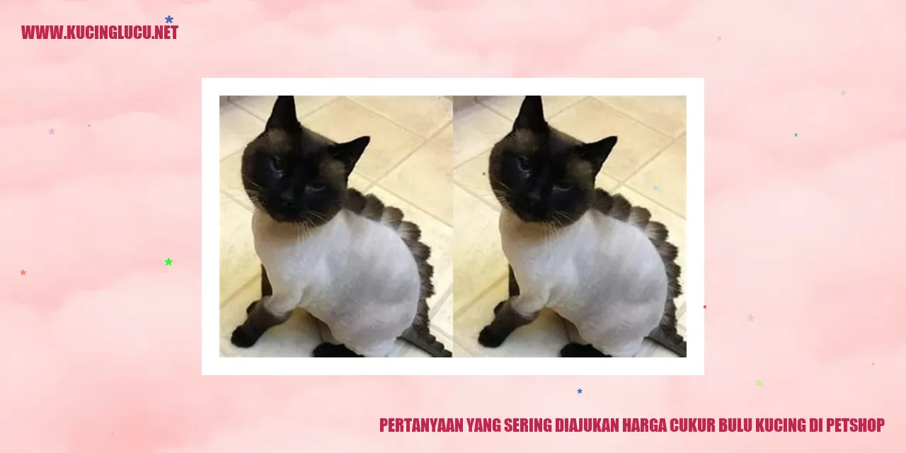 Pertanyaan yang Sering Diajukan seputar Harga Cukur Bulu Kucing di Petshop
