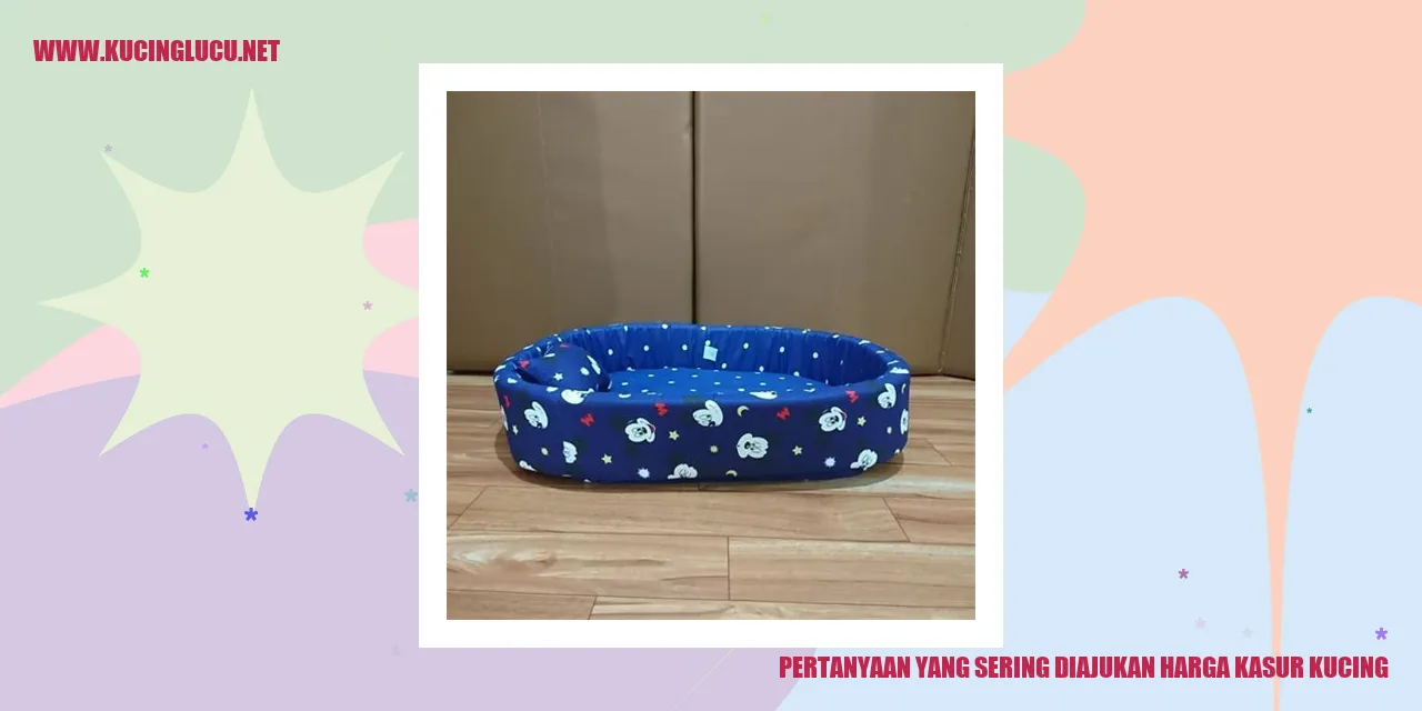 gambar-kucing
