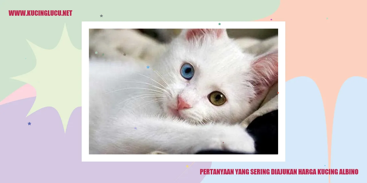 Gambar Kucing Albino
