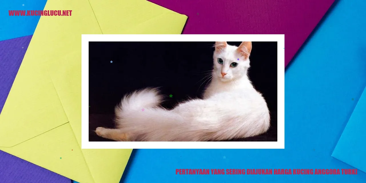 Gambar Kucing Anggora Turki