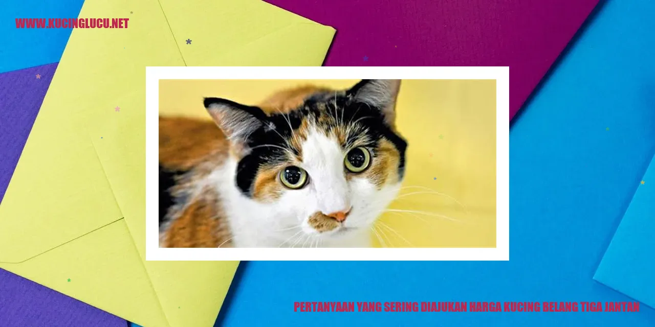 Pertanyaan yang Sering Diajukan harga kucing belang tiga jantan