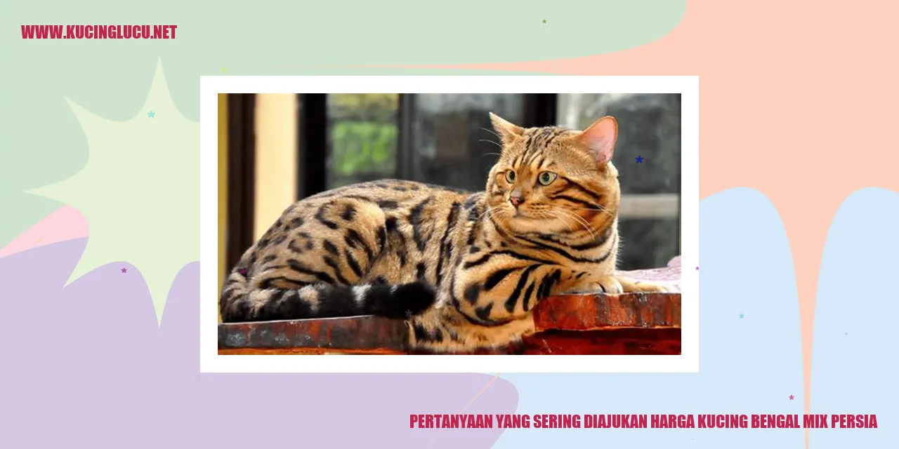 Pertanyaan yang Sering Diajukan harga kucing bengal mix persia