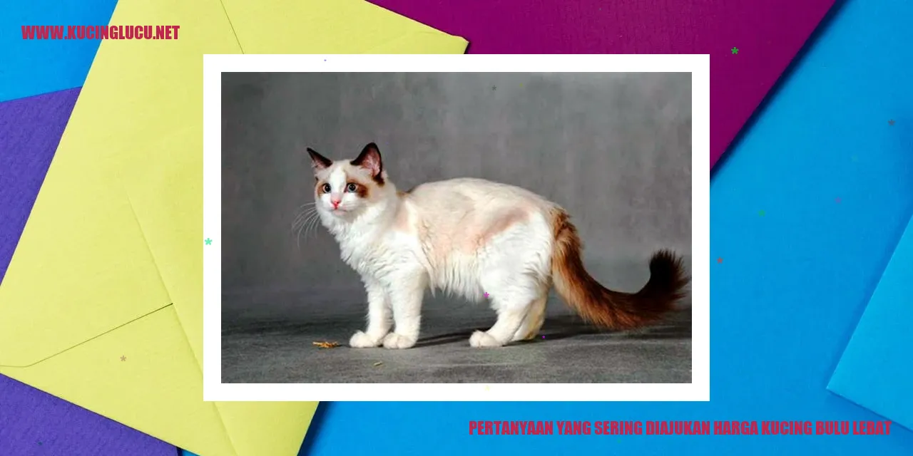 Kucing dengan Bulu yang Lebat