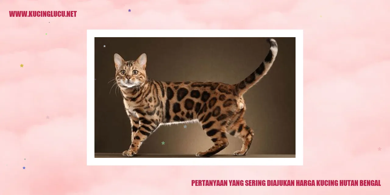 Kucing Hutan Bengal
