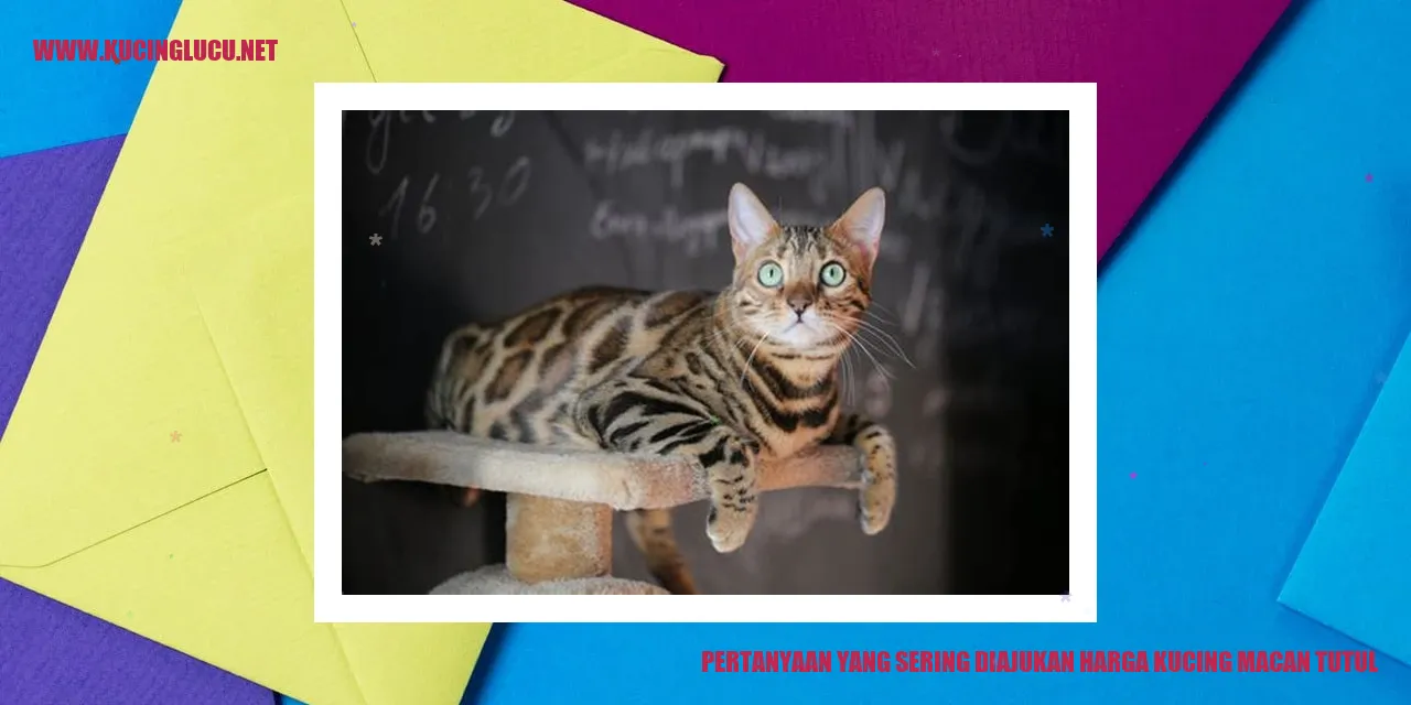 gambar kucing macan tutul