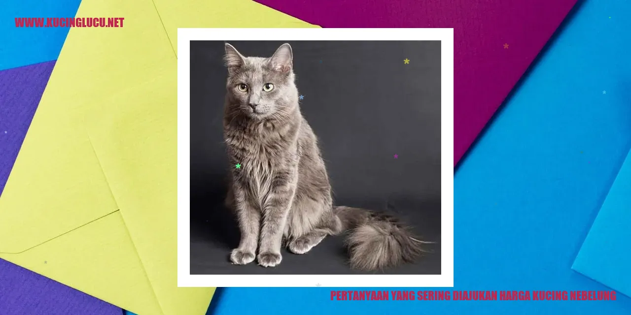 Kucing Nebelung