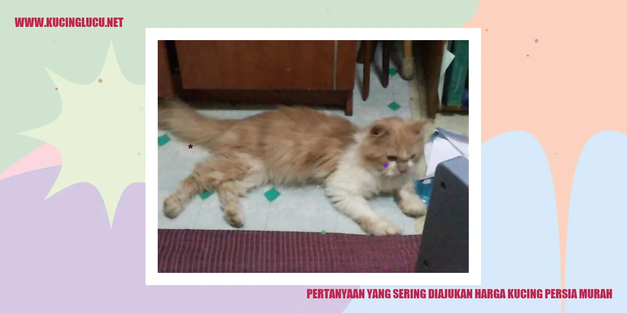 Pertanyaan yang Sering Diajukan harga kucing persia murah