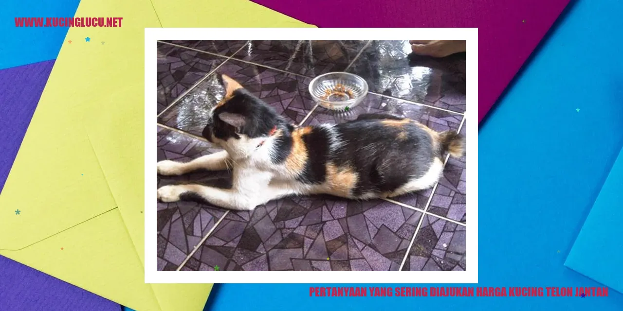 Gambar Kucing Telon Jantan