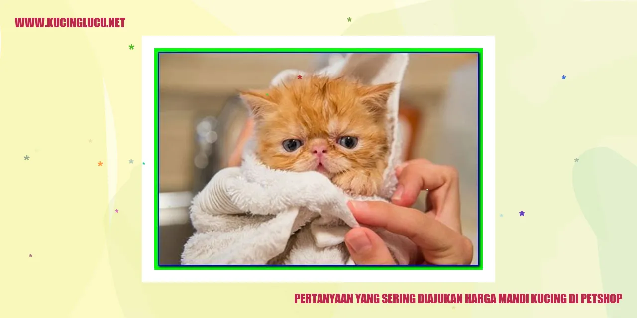 Gambar kucing di petshop