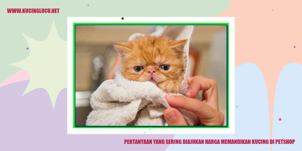 Pertanyaan Mengenai Harga Memandikan Kucing di Petshop