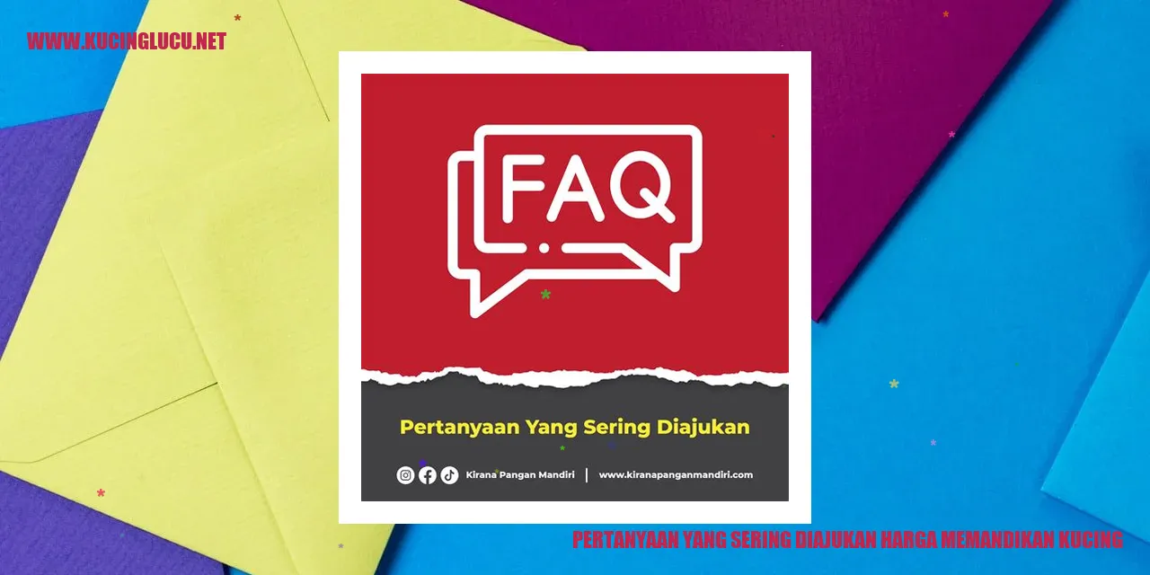 Kucing saat sedang dimandikan