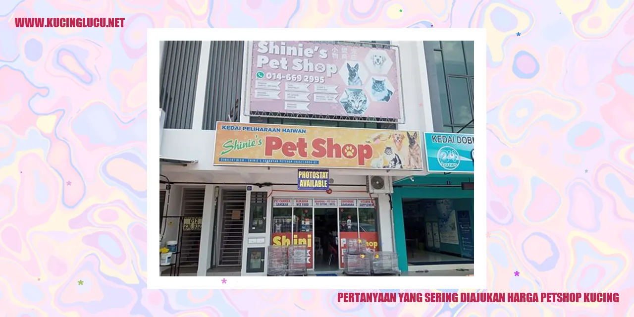 Gambar kucing di petshop