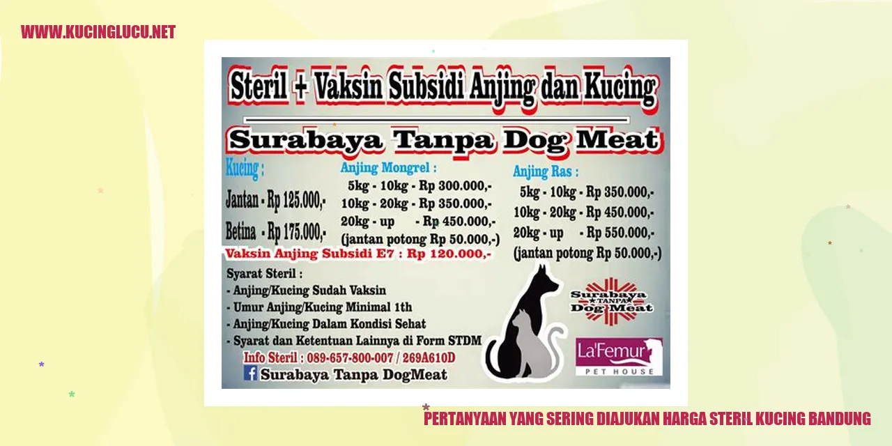 Pertanyaan yang Sering Diajukan tentang Harga Sterilisasi Kucing di Bandung