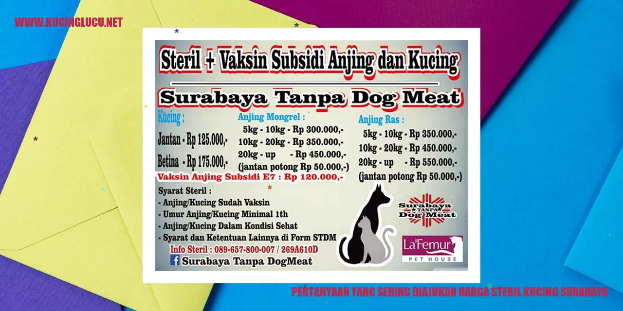 gambar steril kucing