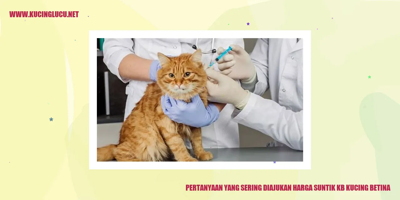 Gambar KB Kucing
