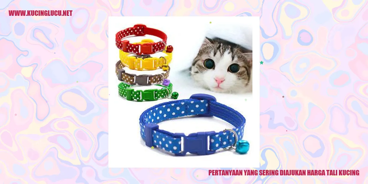 Tali kucing